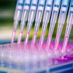 Lab Equipment & Supplies